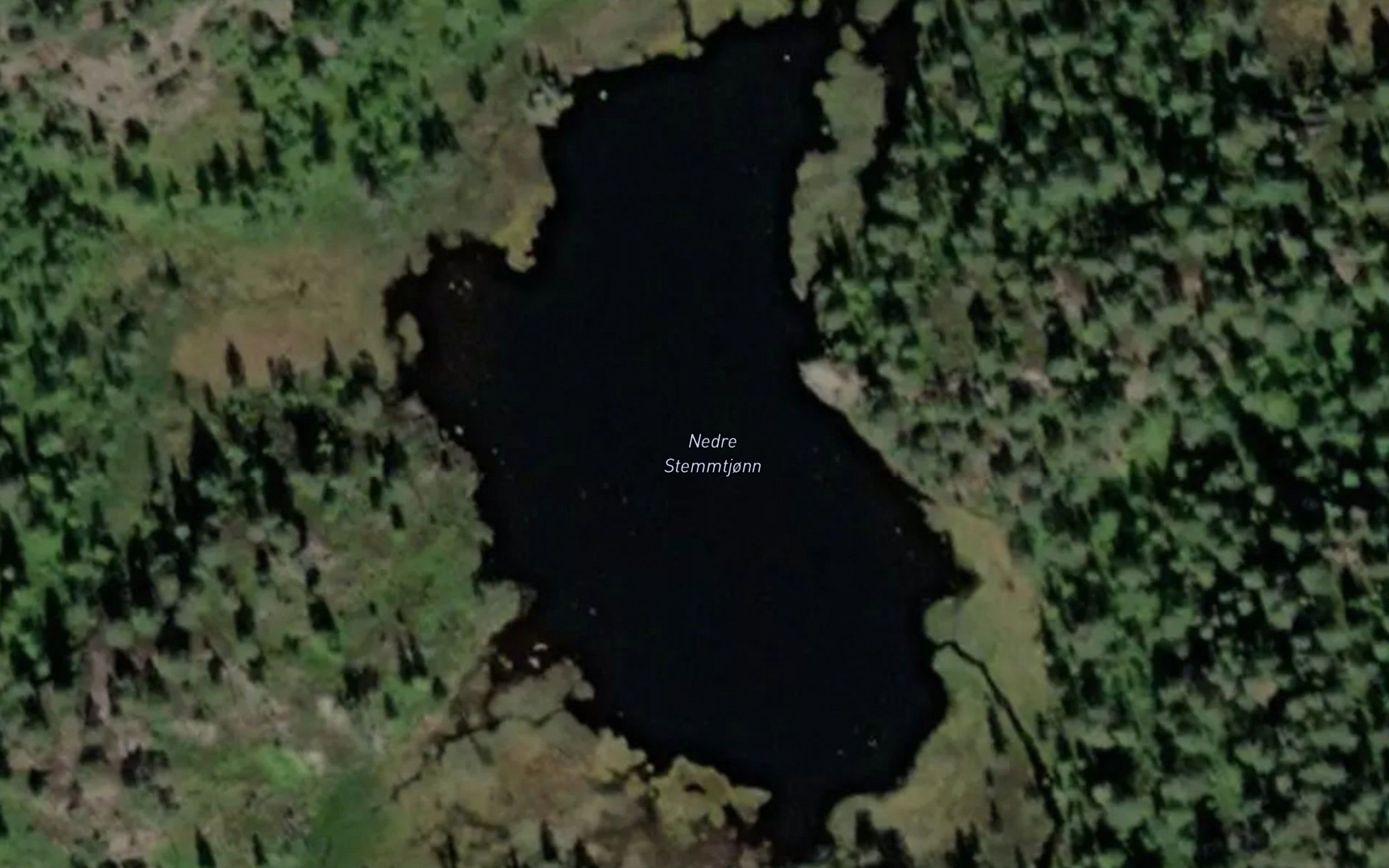 Stemtjorn,nedre