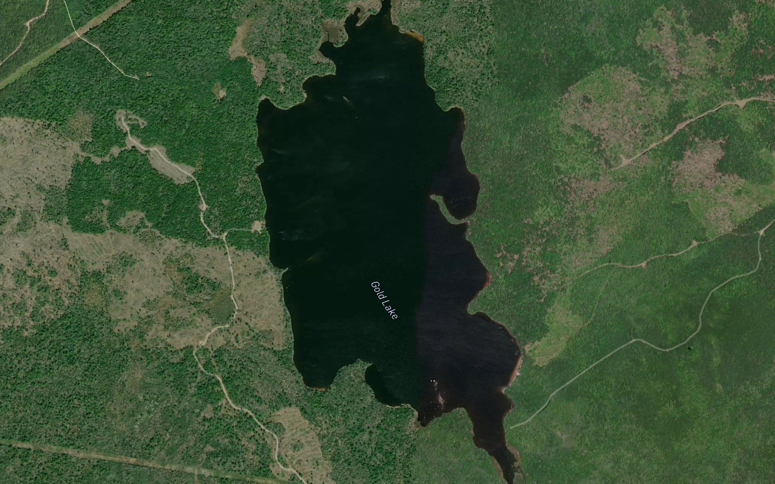 Gold Lake