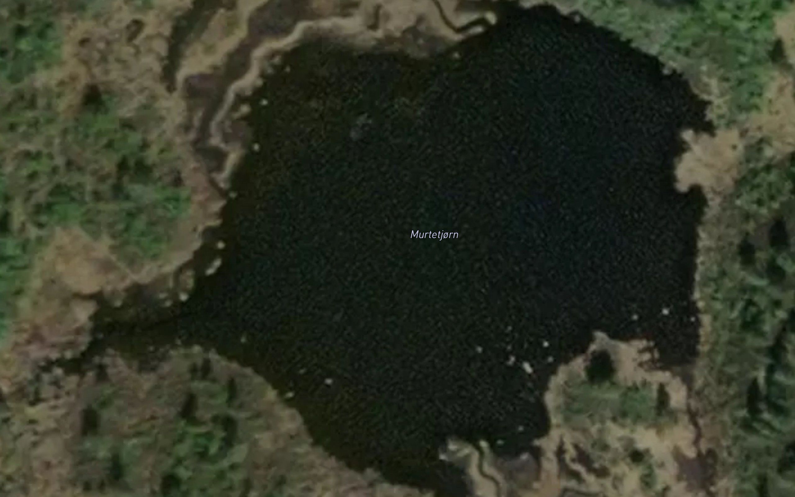Murtetjorn
