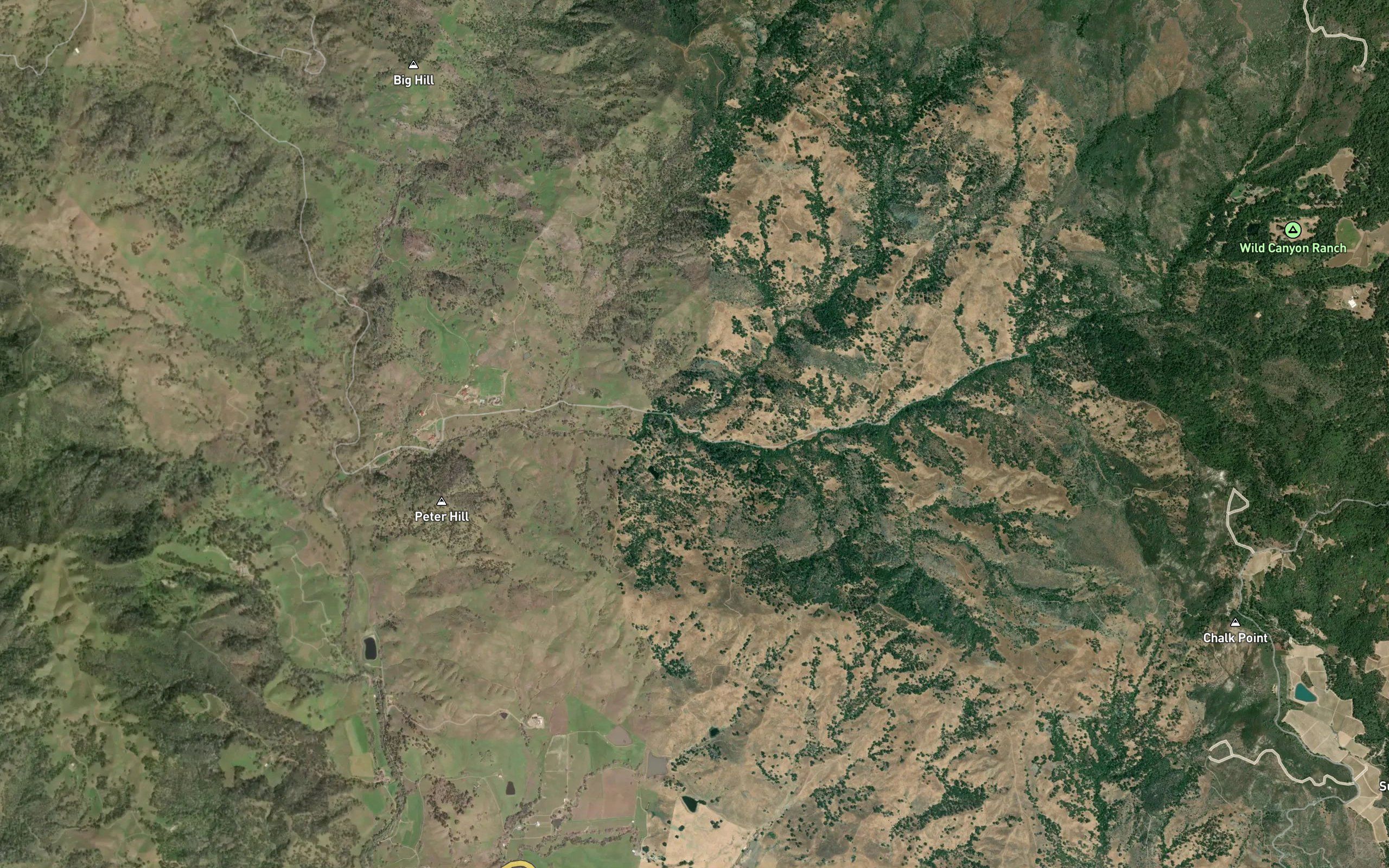 Coon Creek