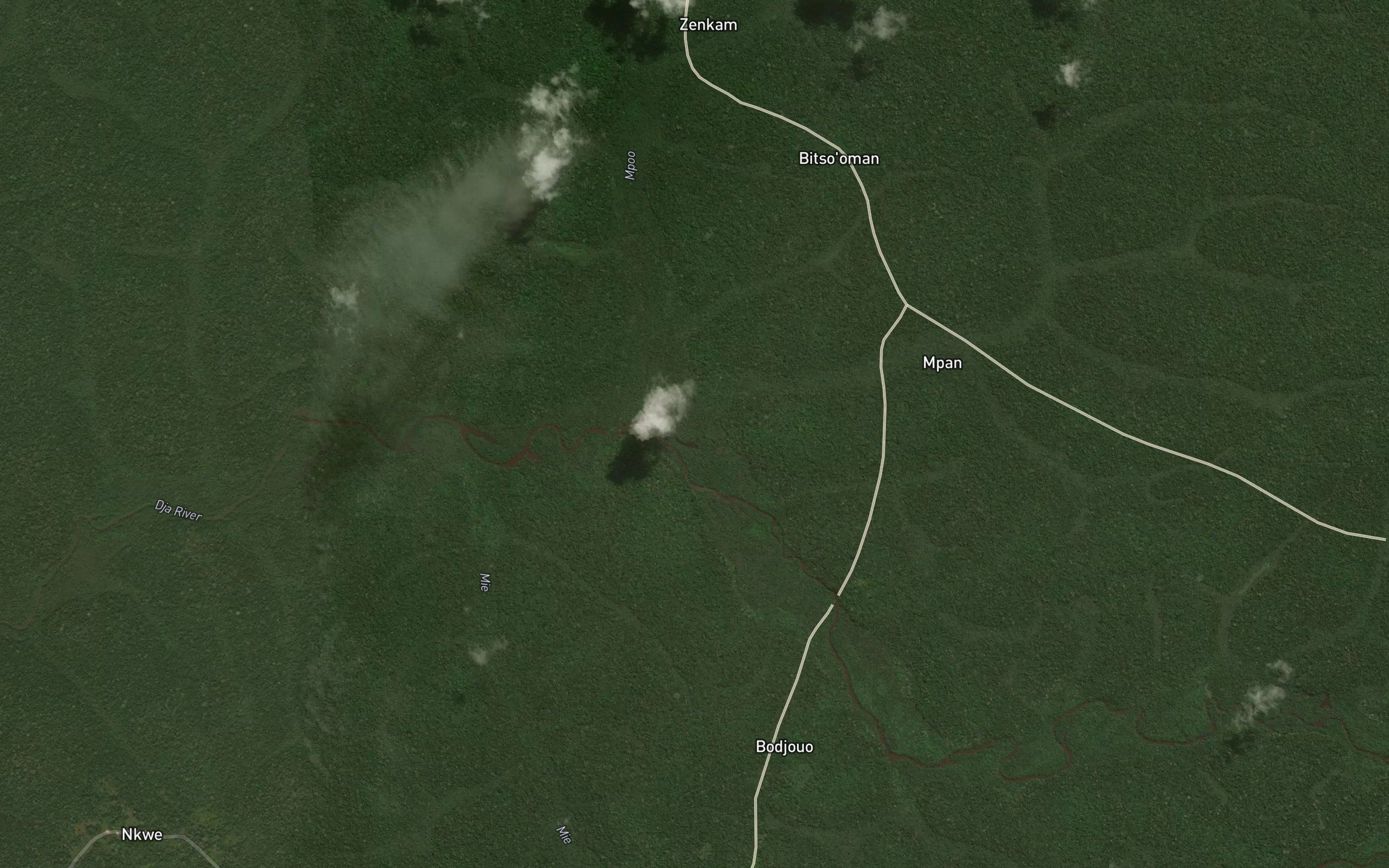 Mpoo