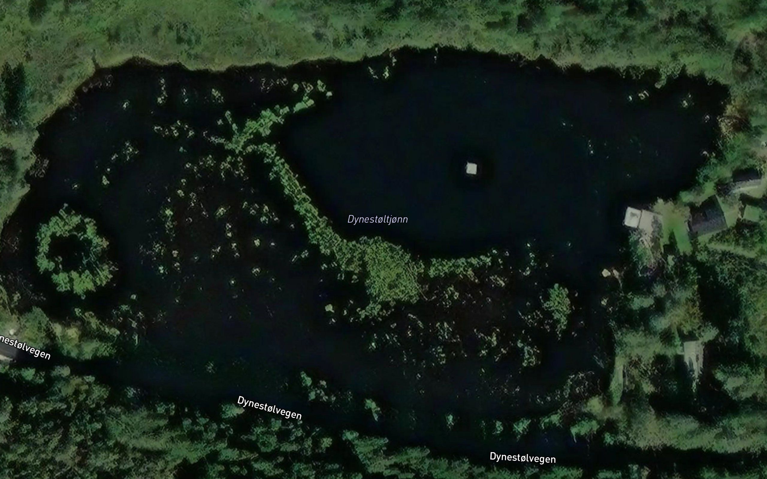 Dynestoltjonn