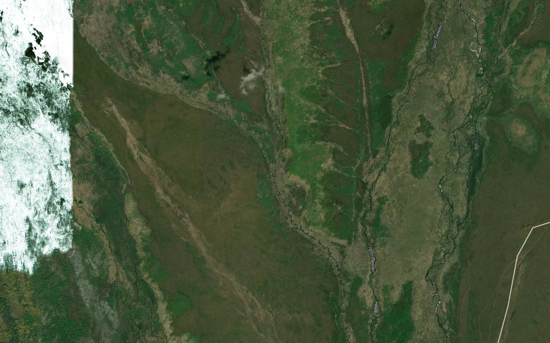 Satellite map of the Vetvistyy