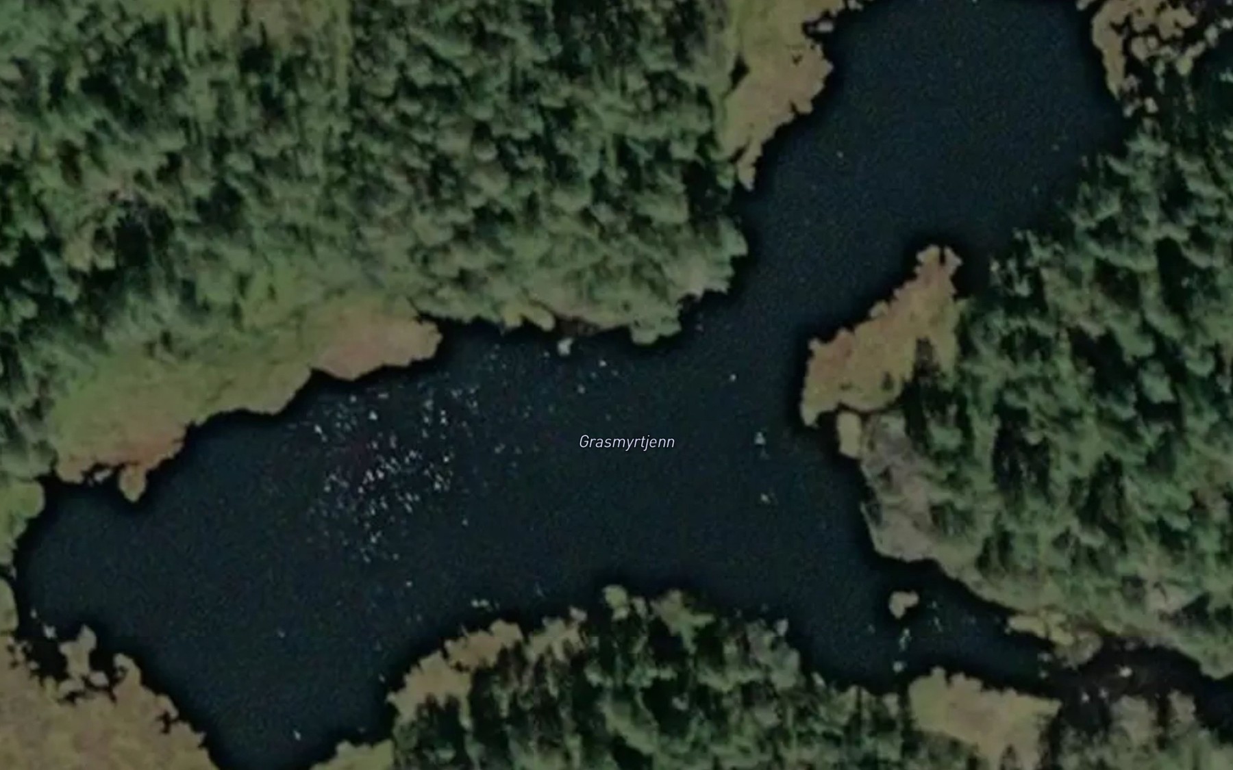Satellite map of the Grasmyrtjenn