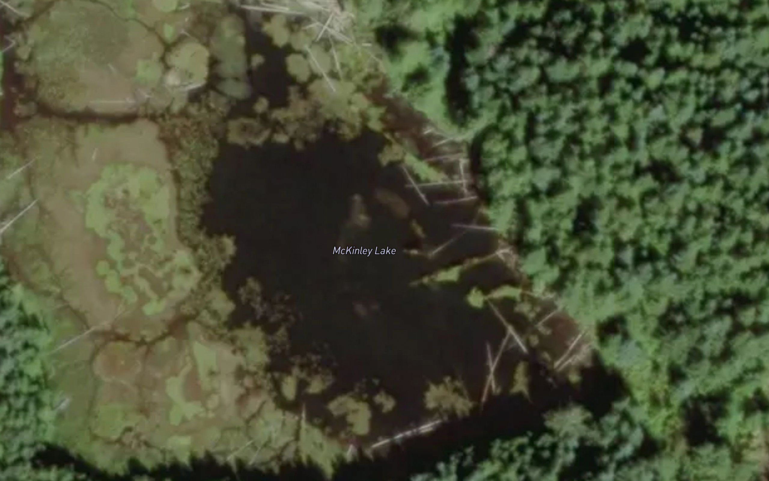 McKinley Lake