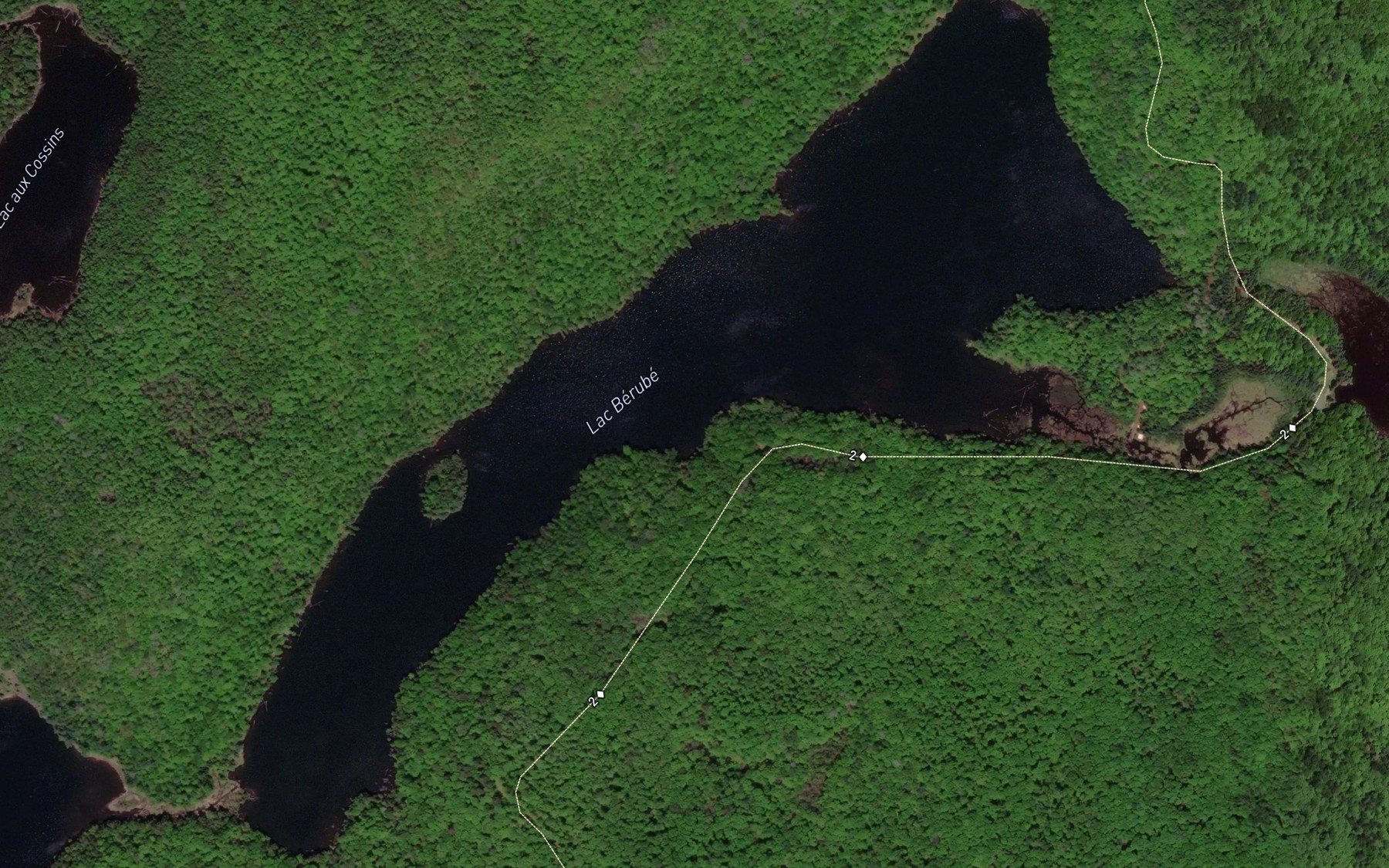 Satellite map of the Lac Berube