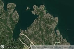 Jutviken
