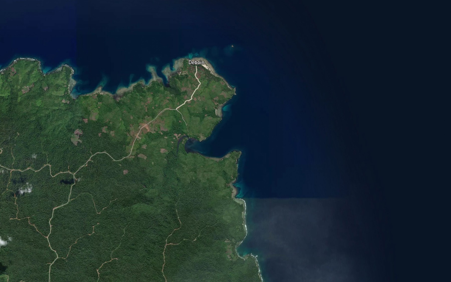 Satellite map of the Douglas Harbour