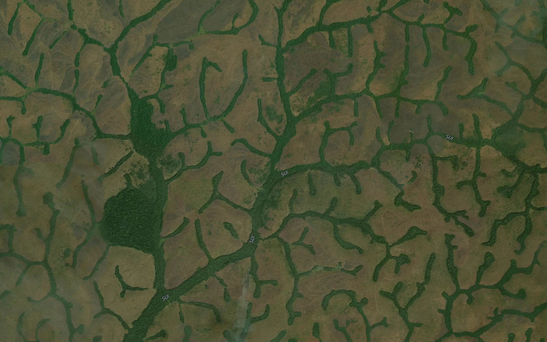 Satellite map of the Sui
