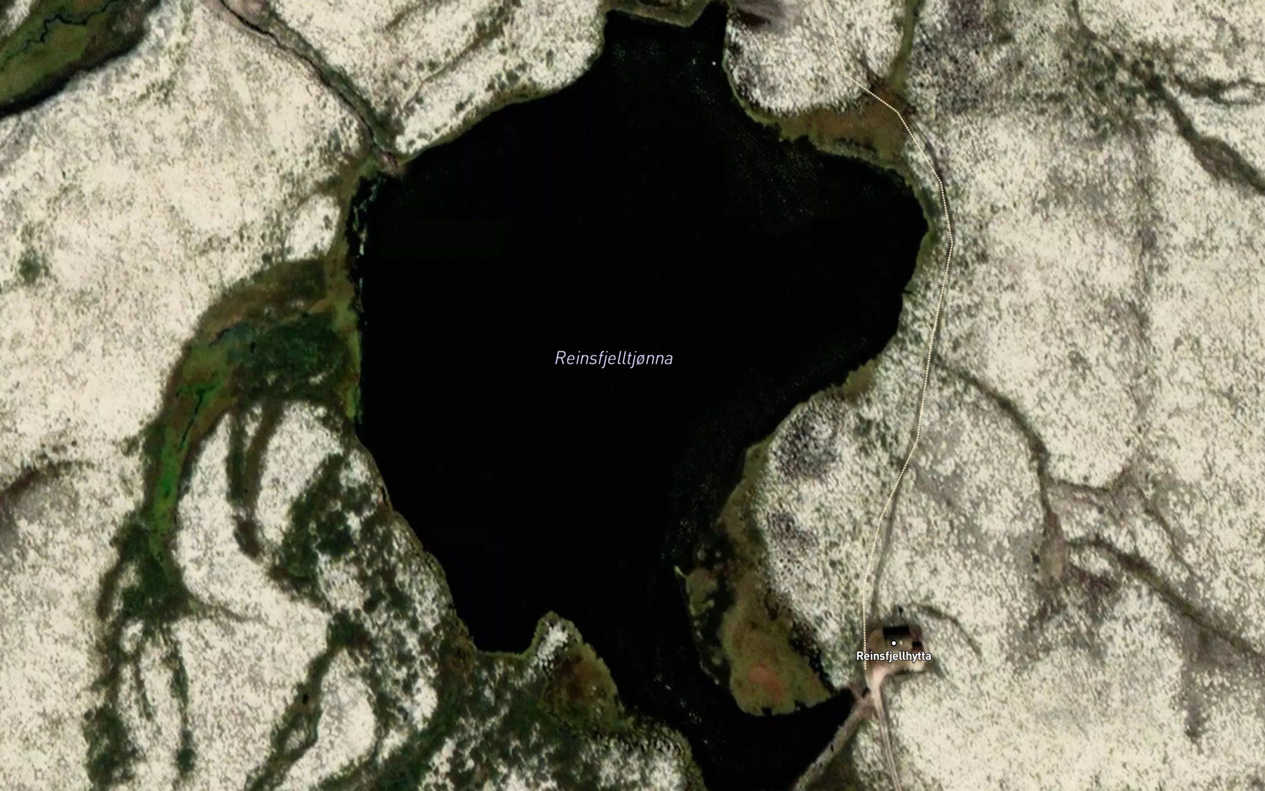 Reinsfjelltjorna