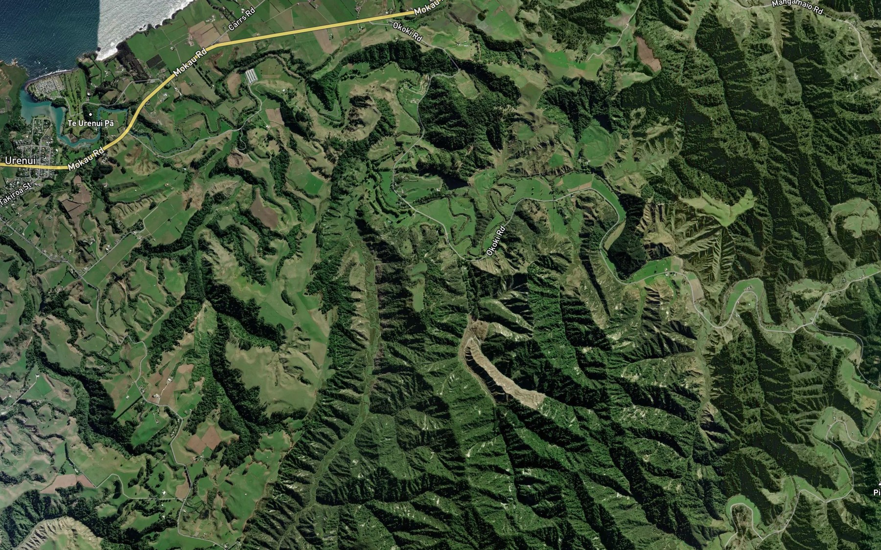 Satellite map of the Kohangamoa Stream