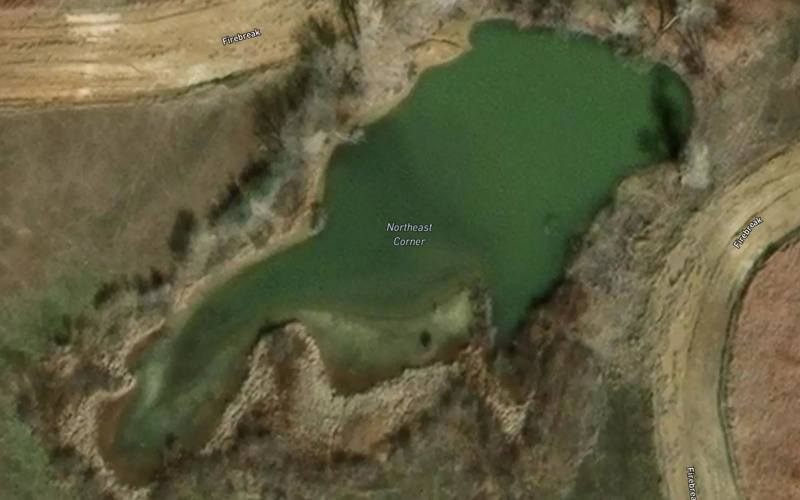 Northeast Corner Pond