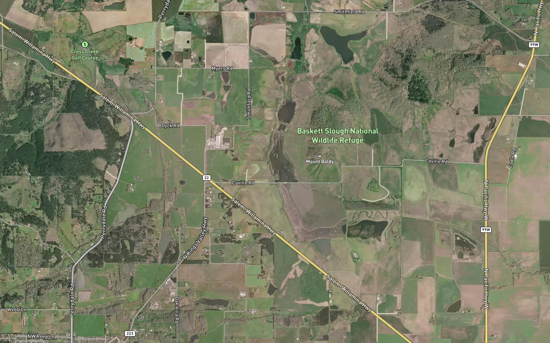 Satellite map of the Cottonwood Pond