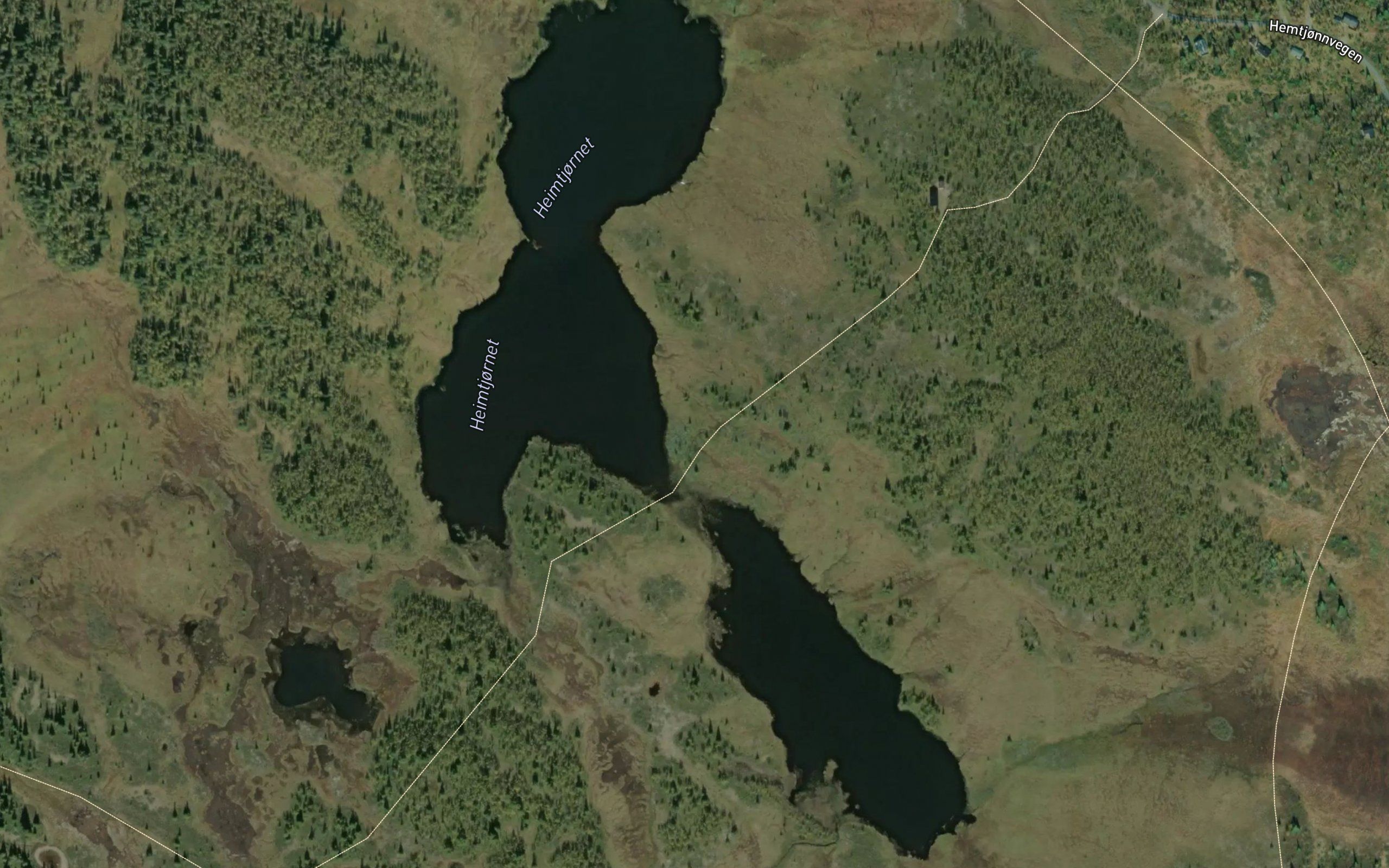 Heimtjernene