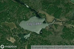Lily Lake
