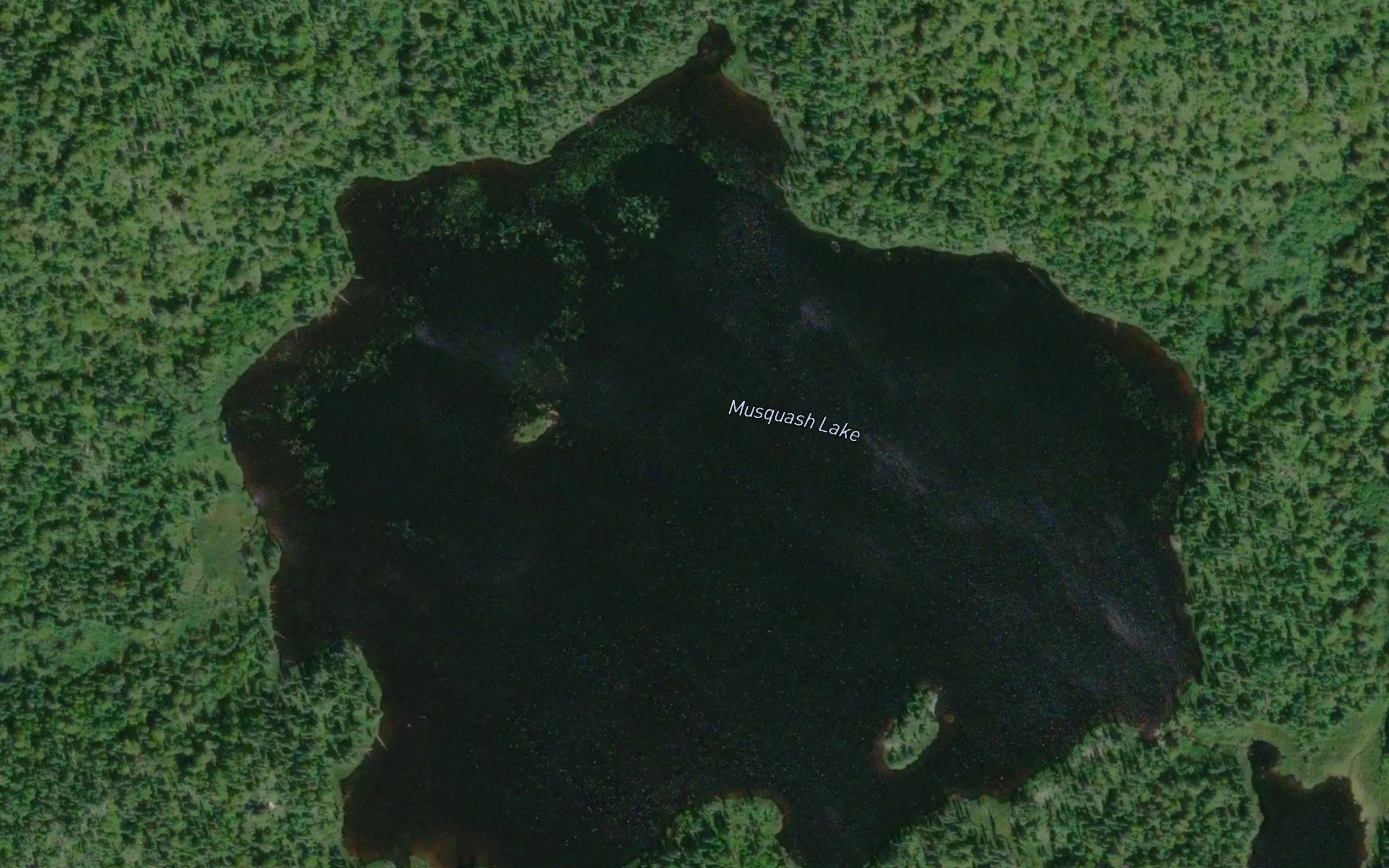 Musquash Lake