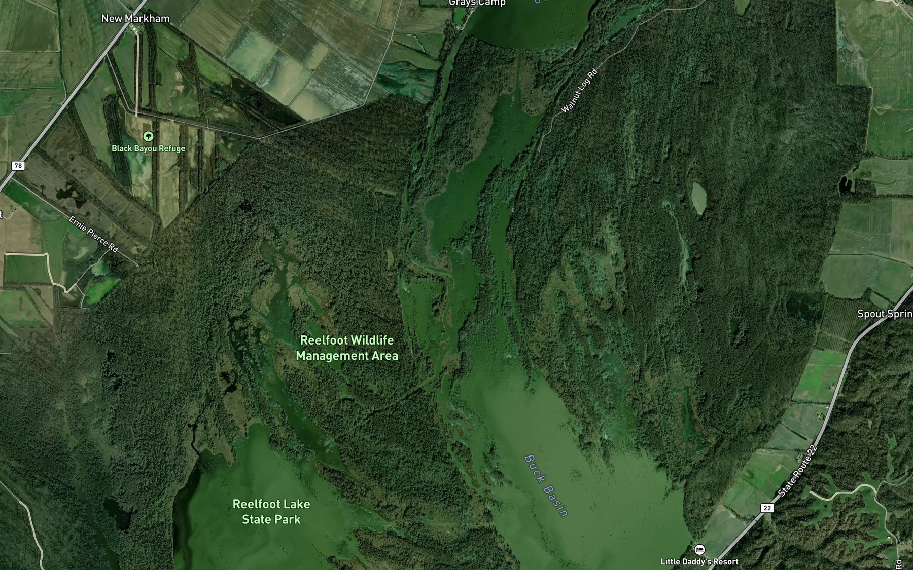 Satellite map of the Black Jack Pocket