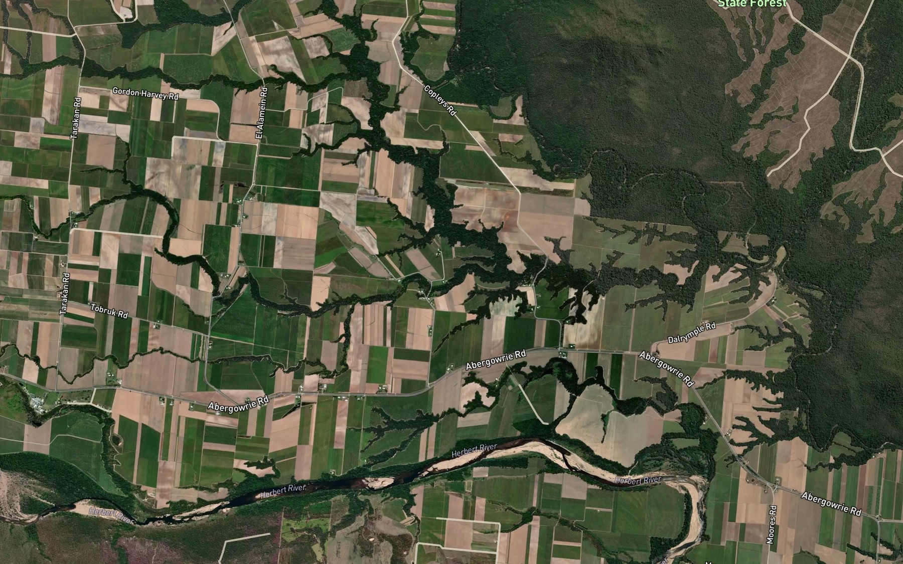 Satellite map of the Fungus Creek
