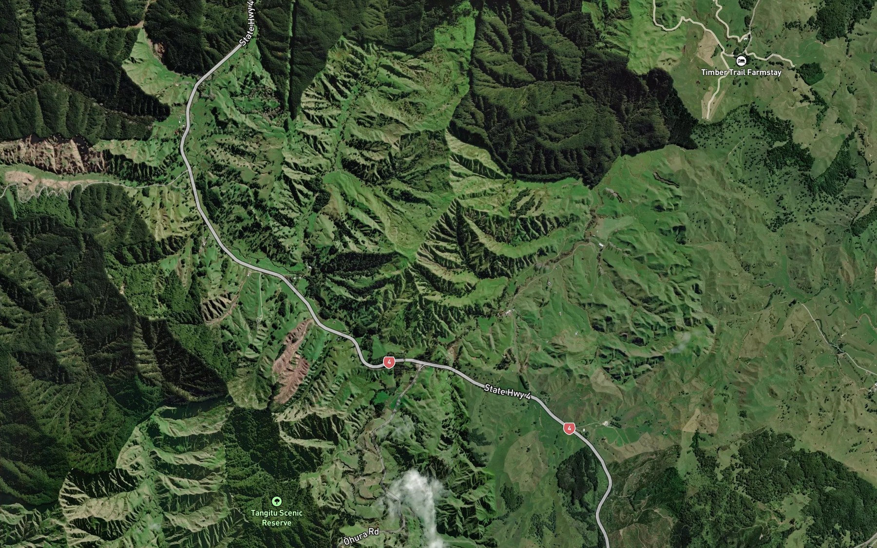Satellite map of the Mangatupoto Stream