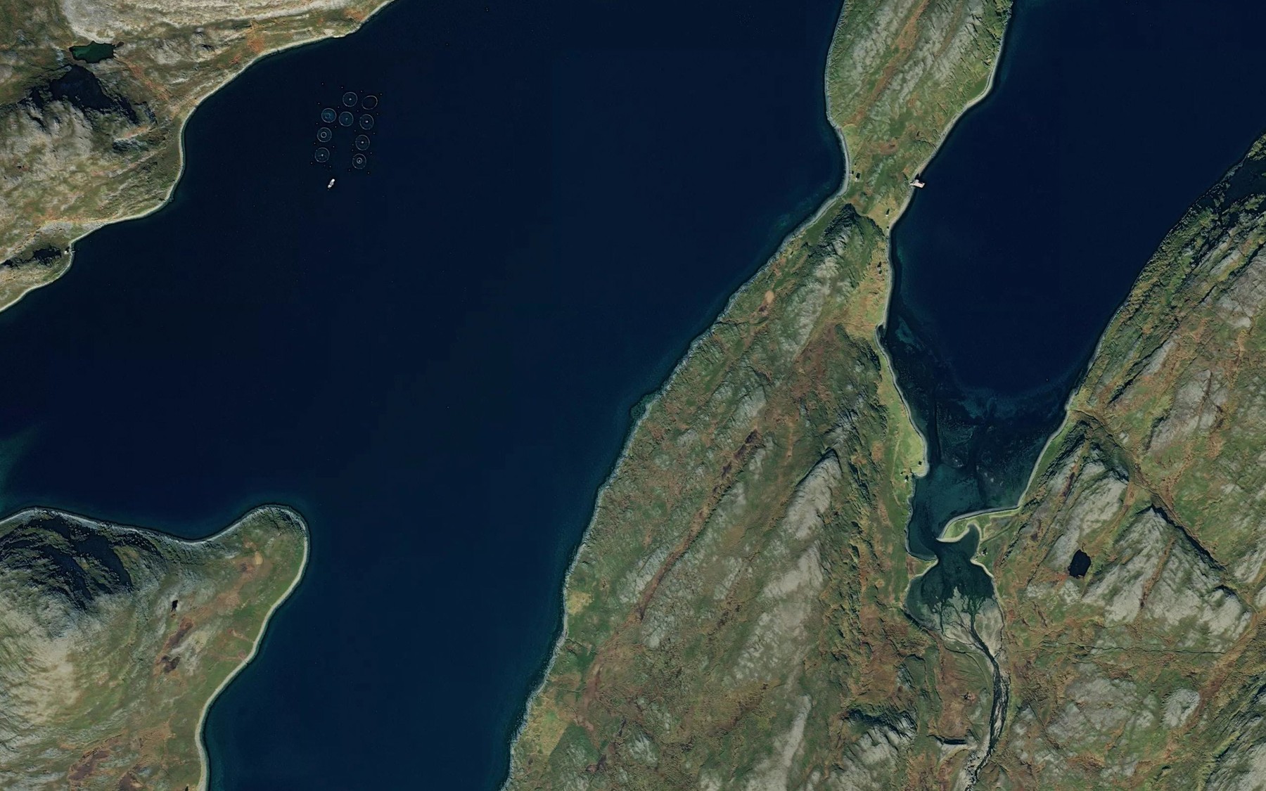 Satellite map of the Kuora