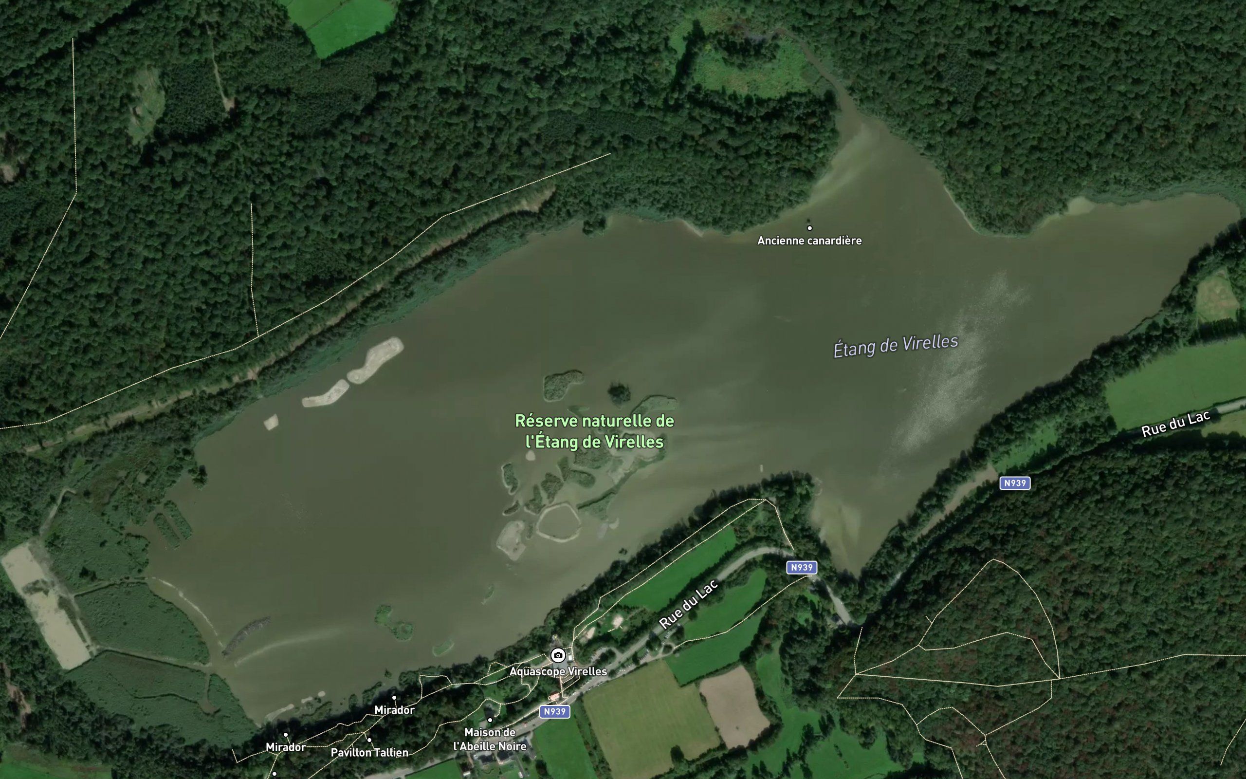 Etang de Virelles