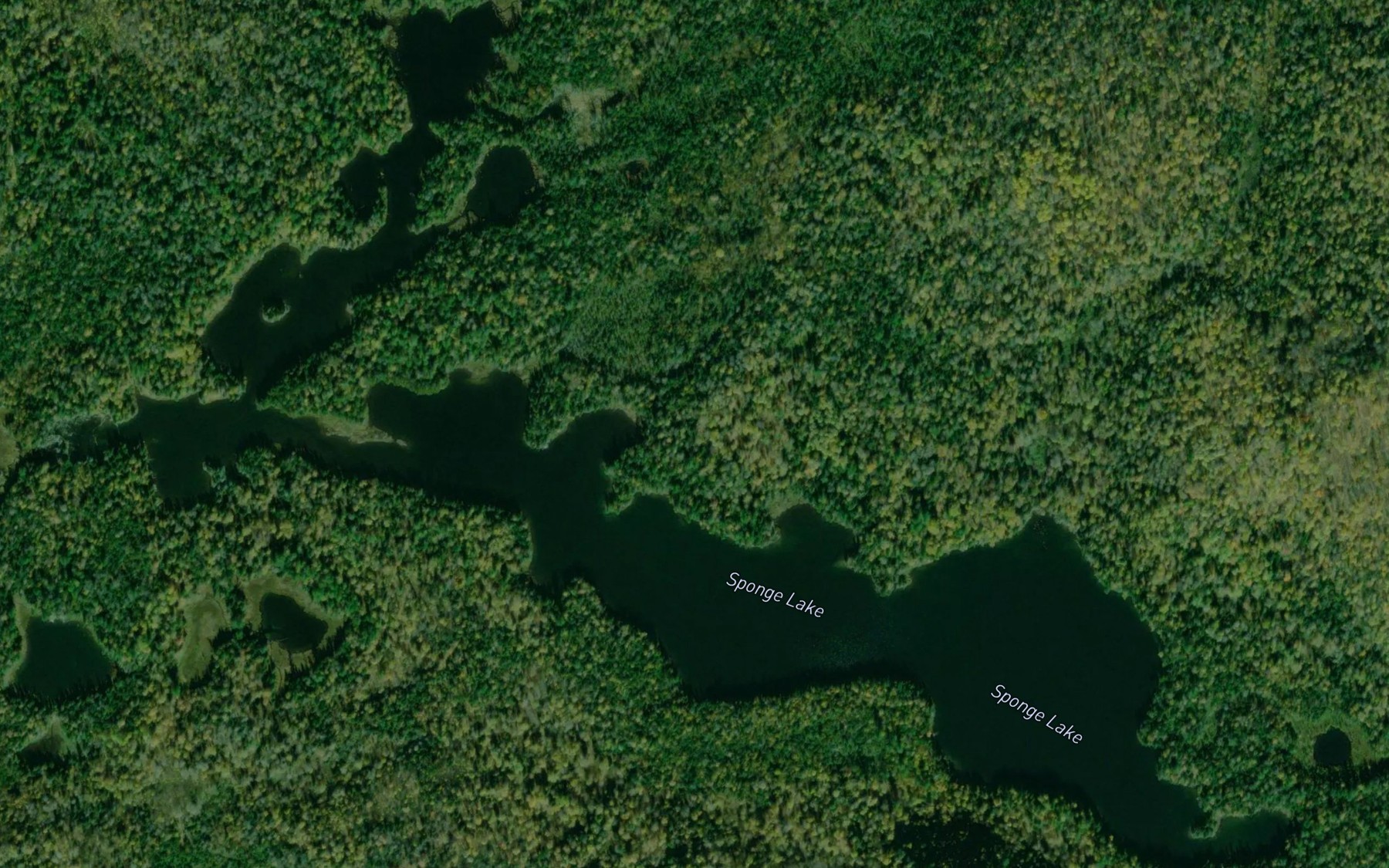 Satellite map of the Sponge Lake