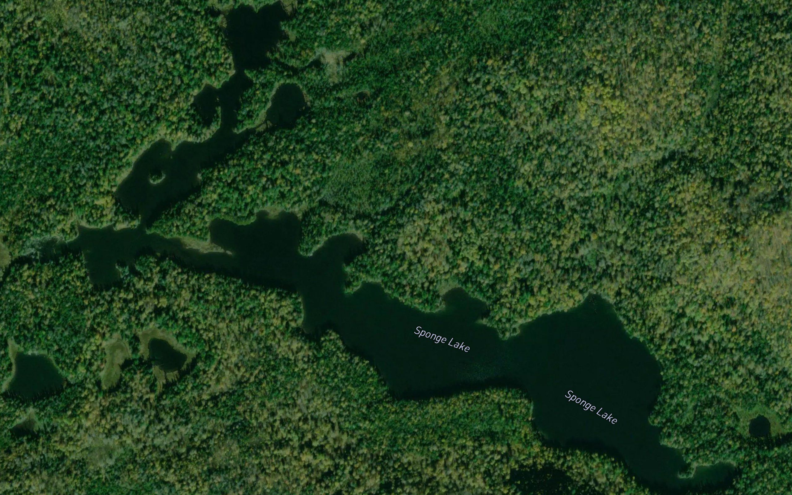 Sponge Lake