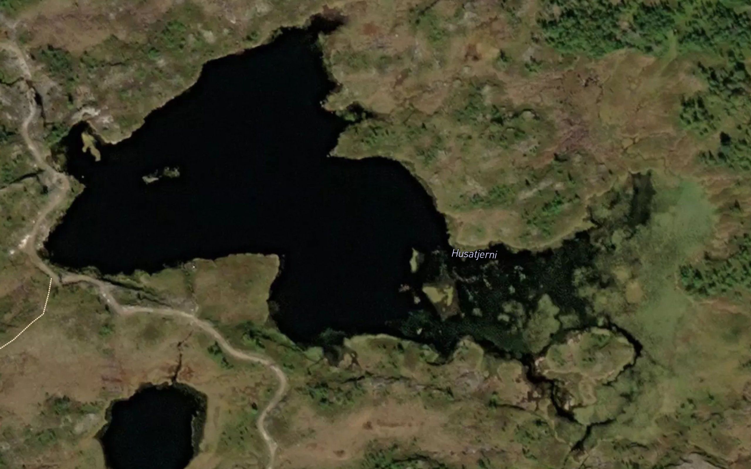 Husatjorn
