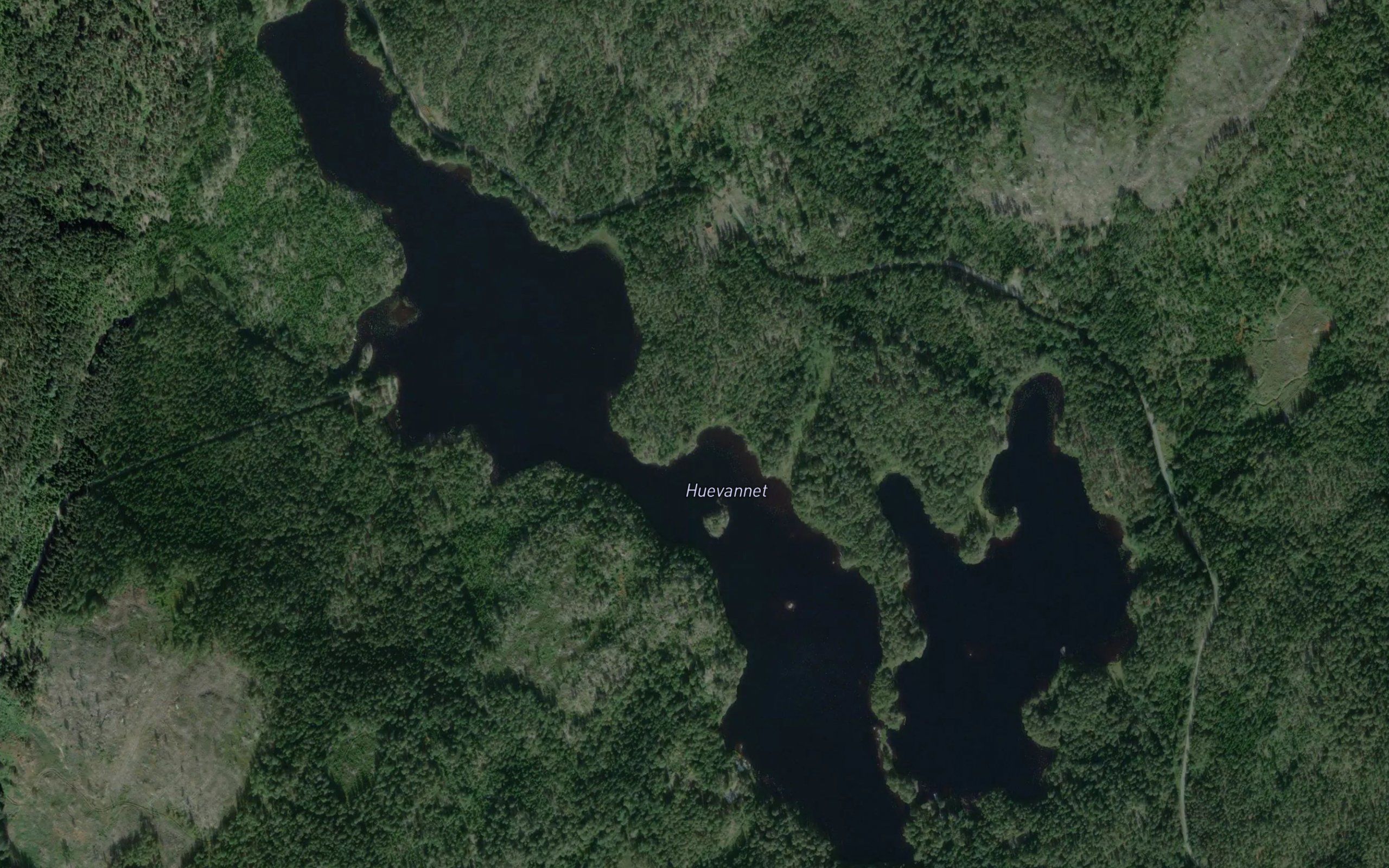 Huvannet