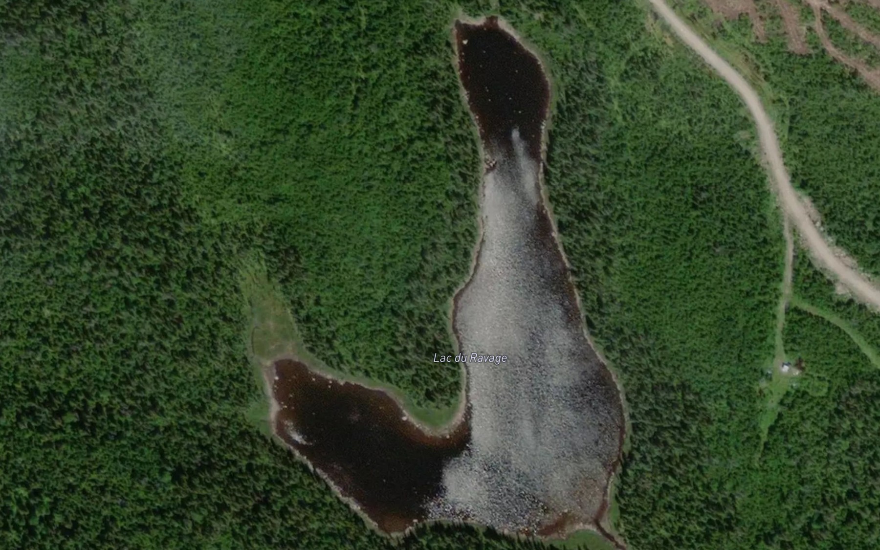Satellite map of the Lac du Ravage