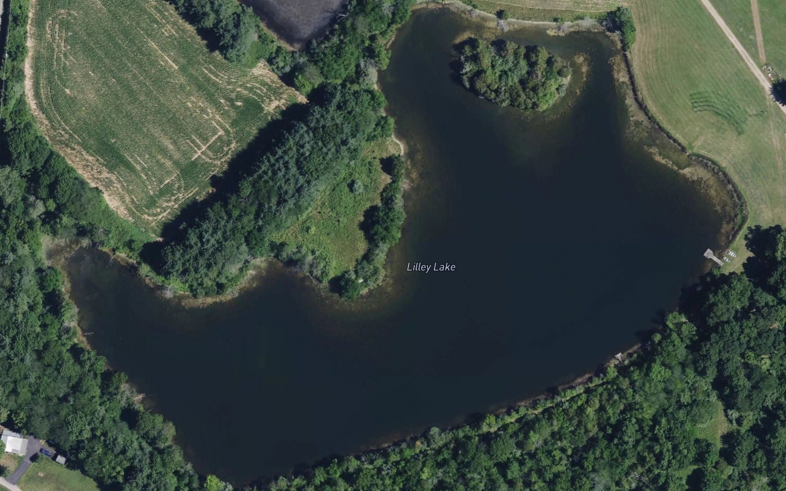 Lilley Lake