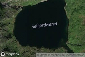 Selfjordvatnet