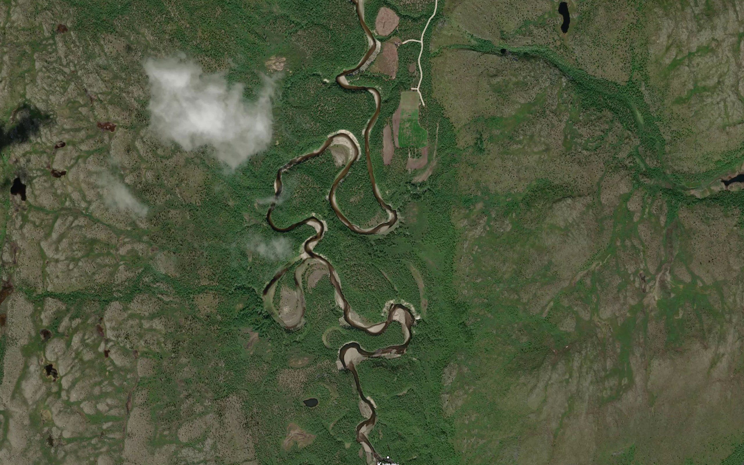 Pulmankijoki