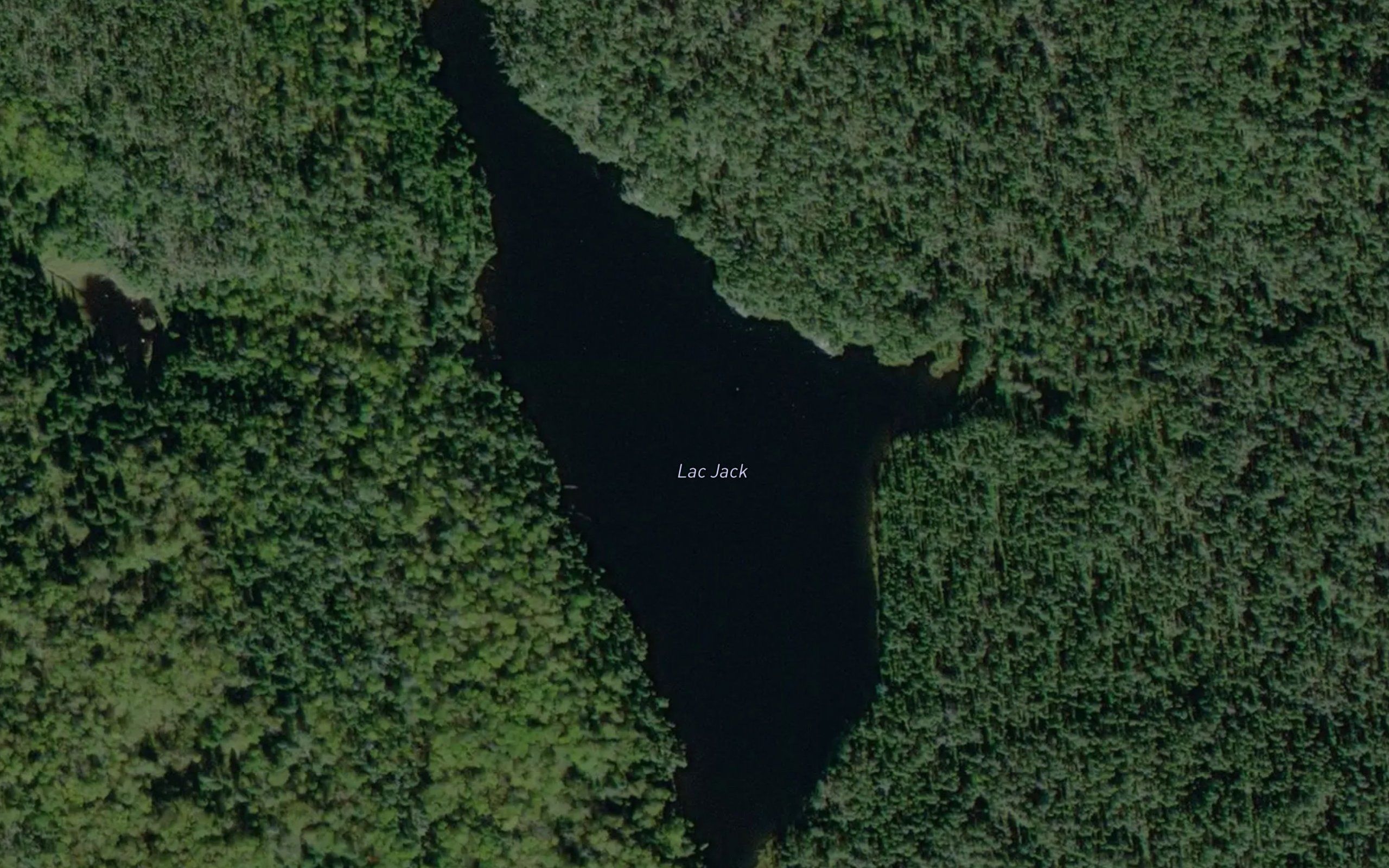 Lac Jack