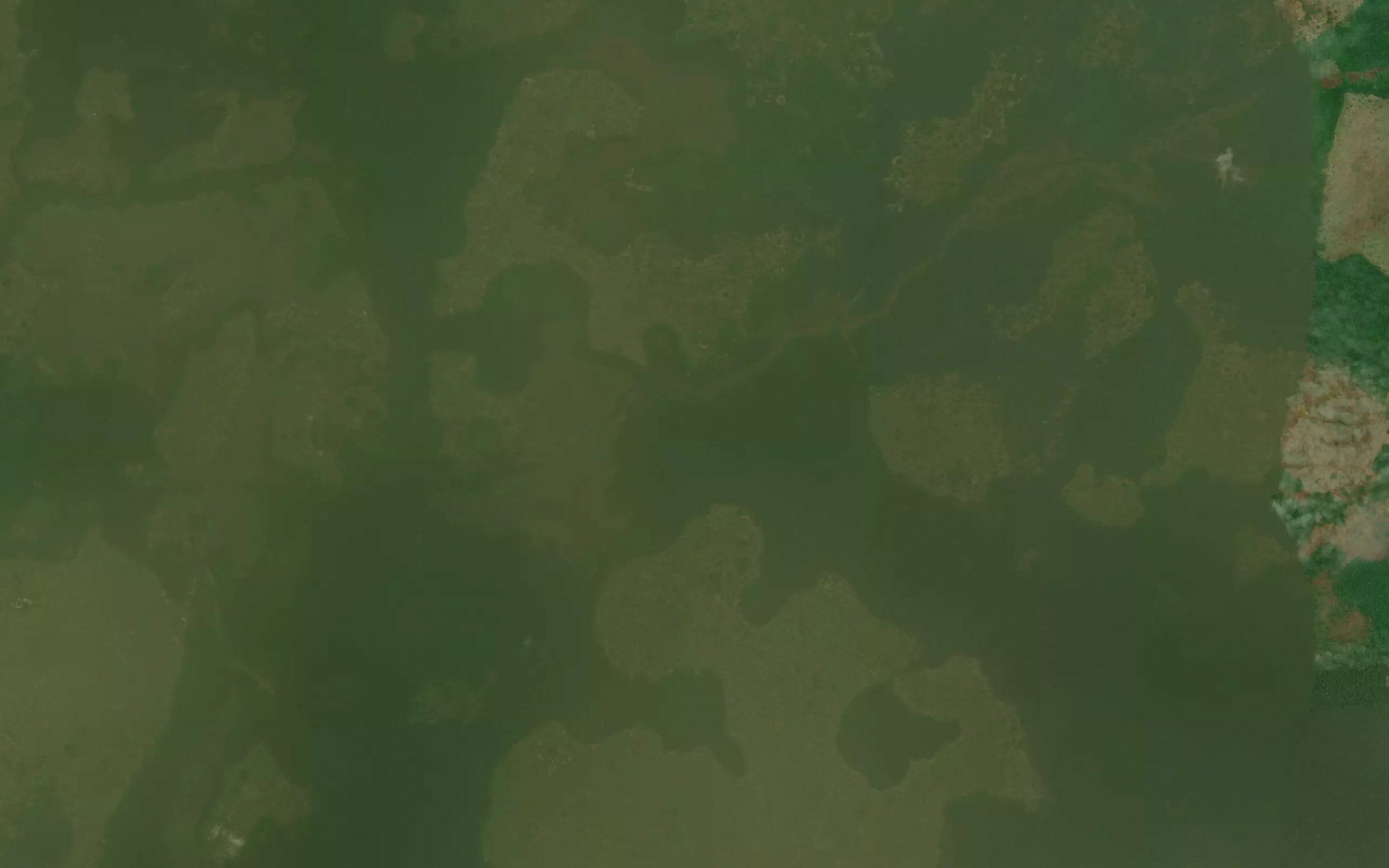 Ambongo