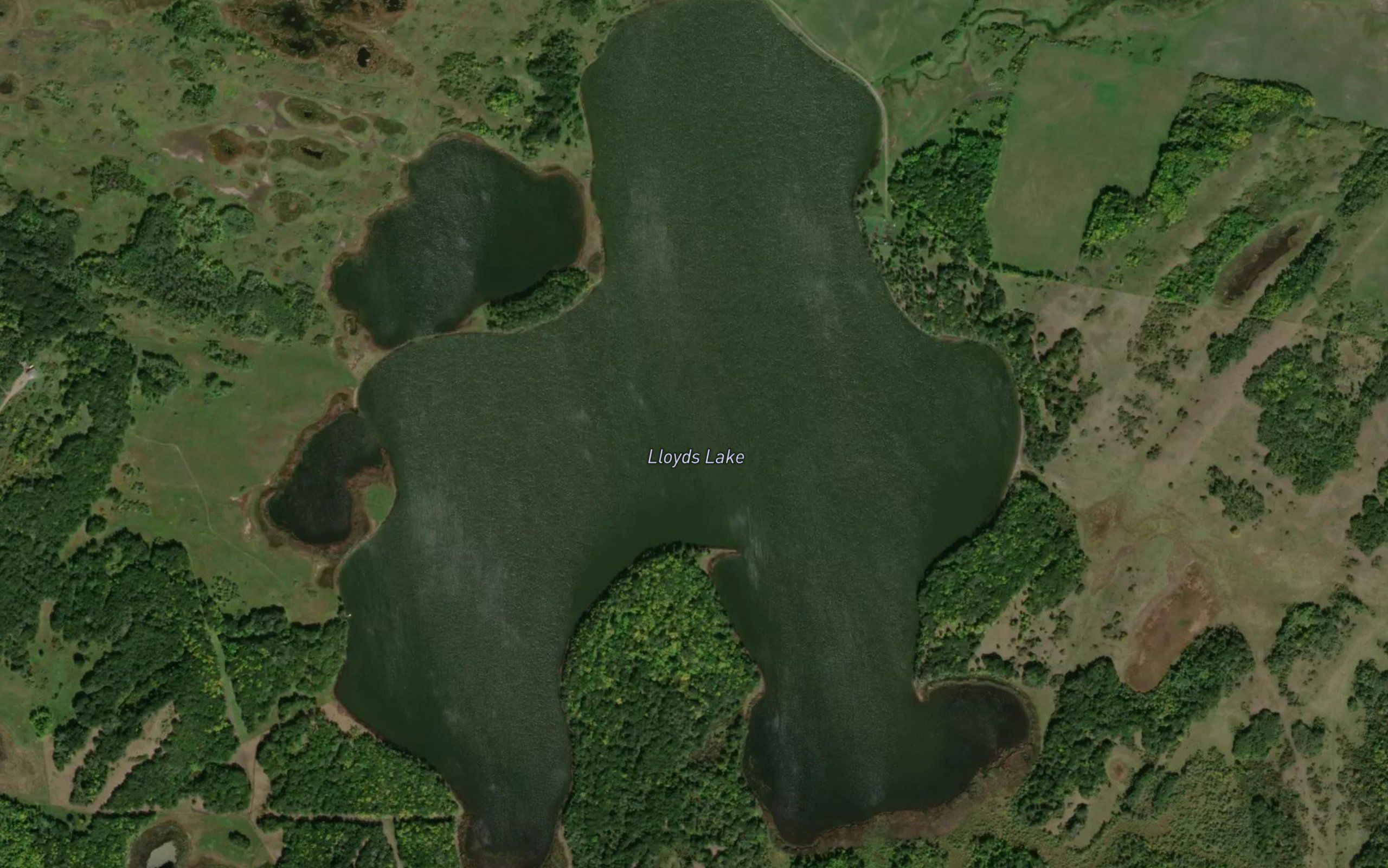 Lloyds Lake