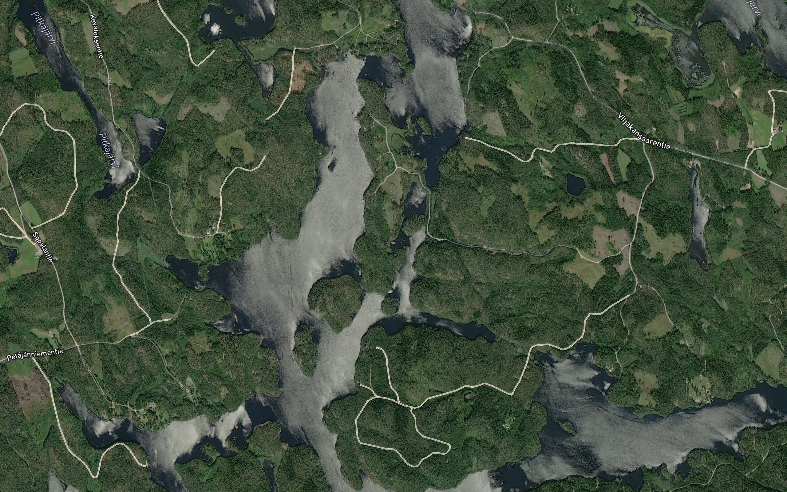 Ruunaluhta