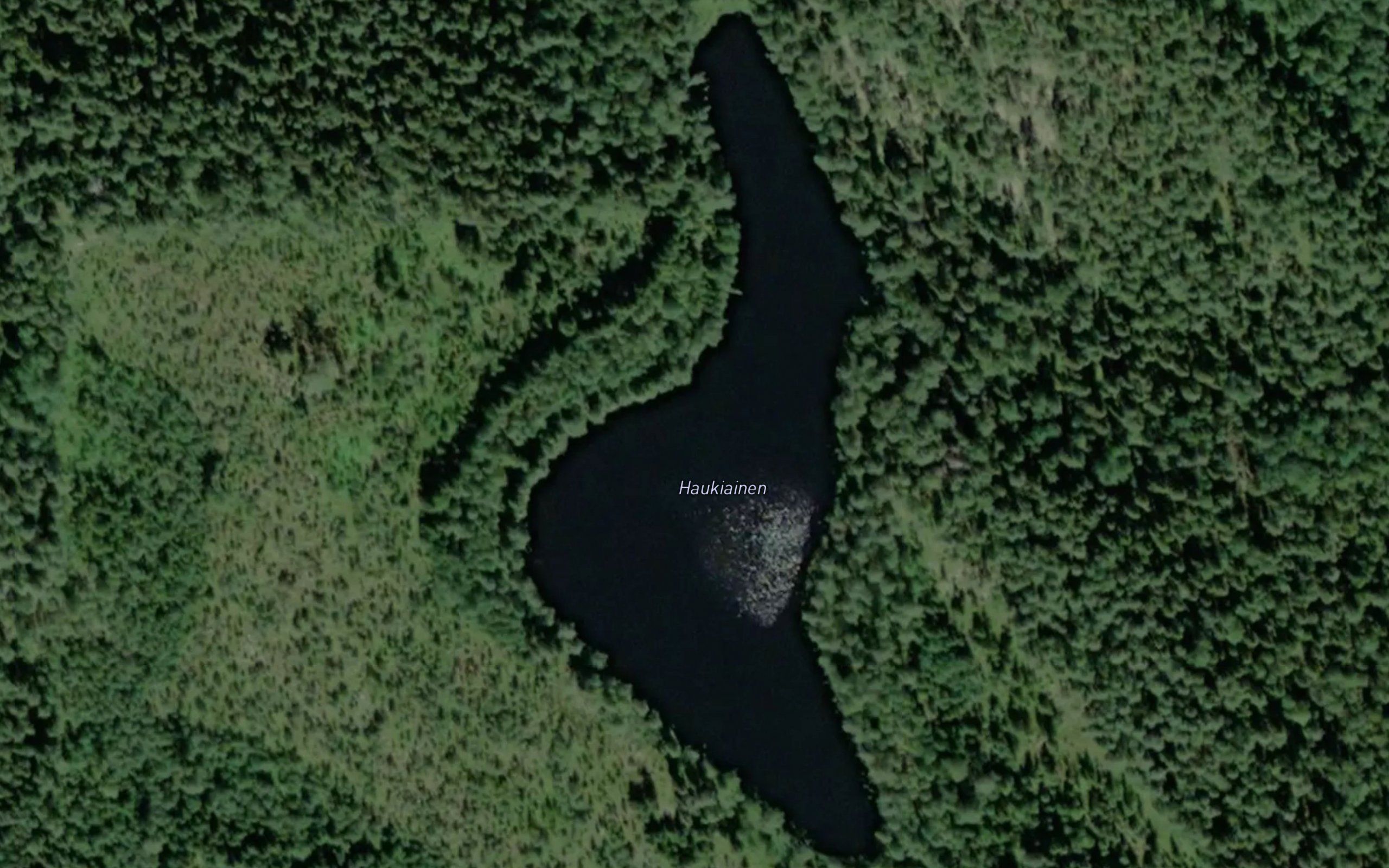 Haukiainen