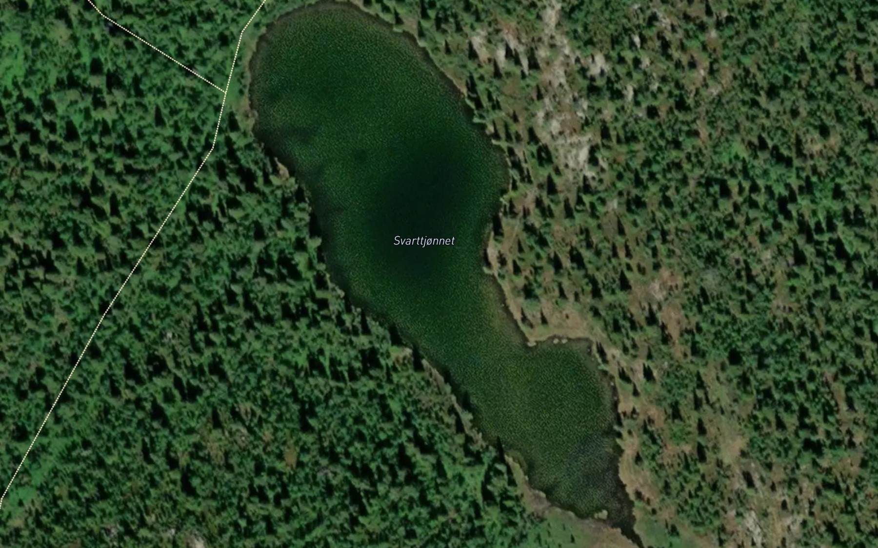 Satellite map of the Svartjornet