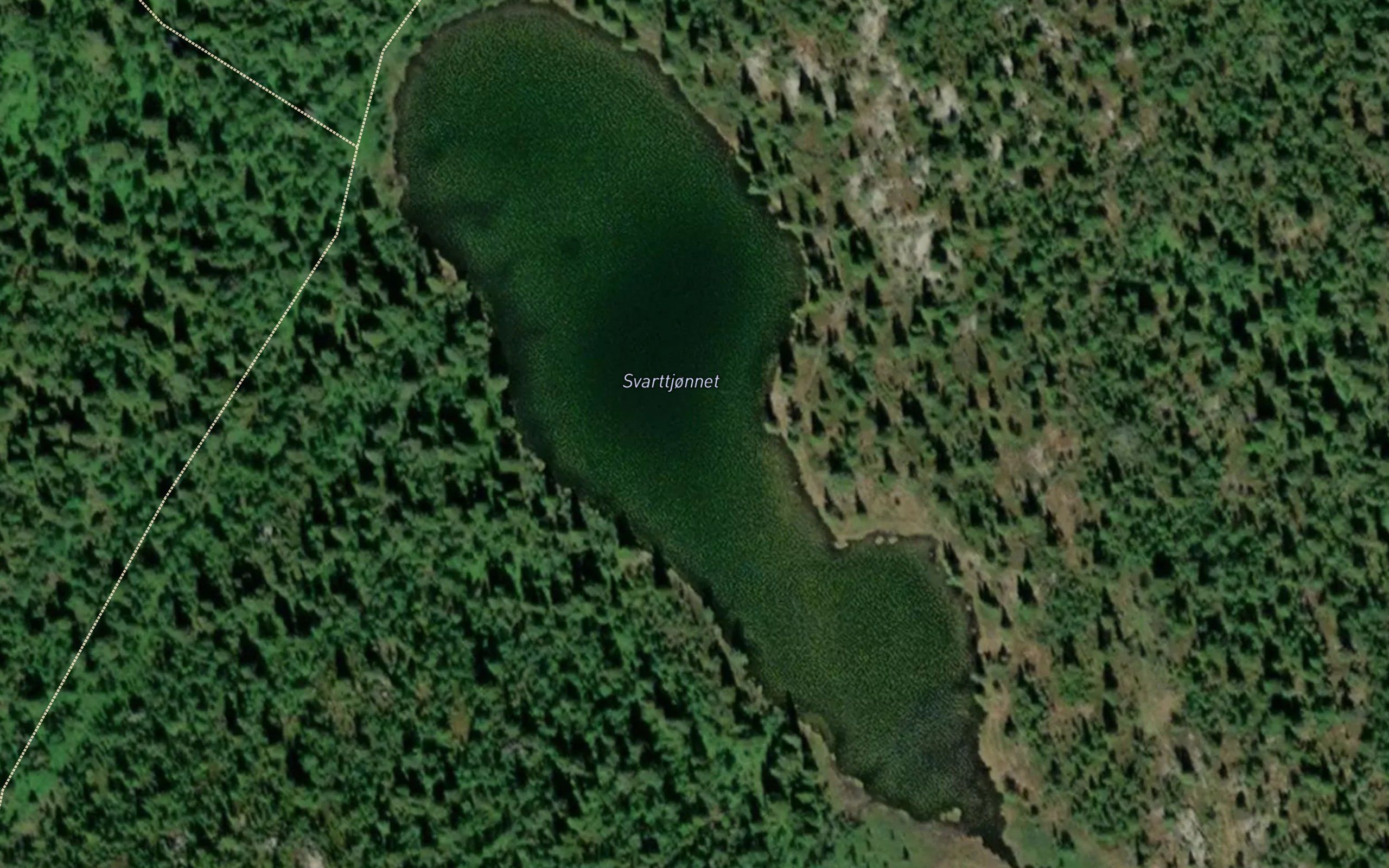 Svartjornet