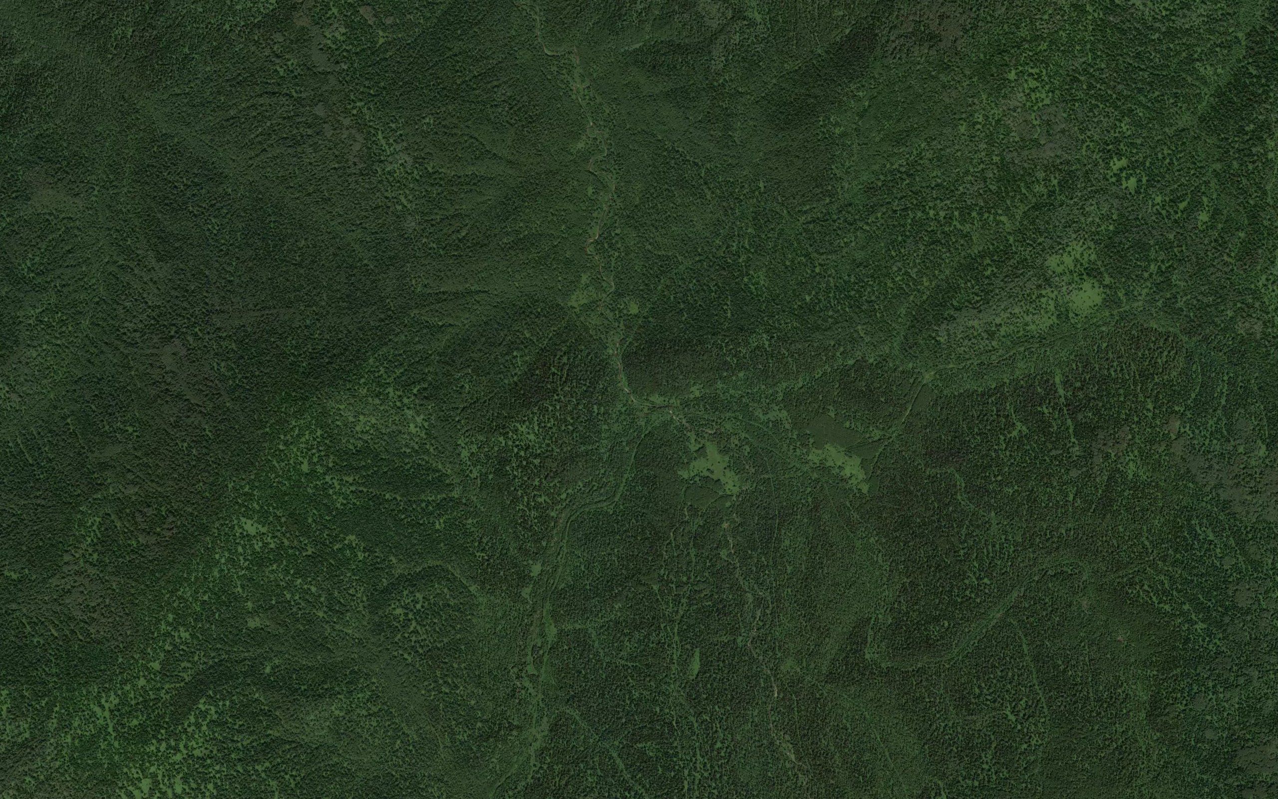 Tikhaya