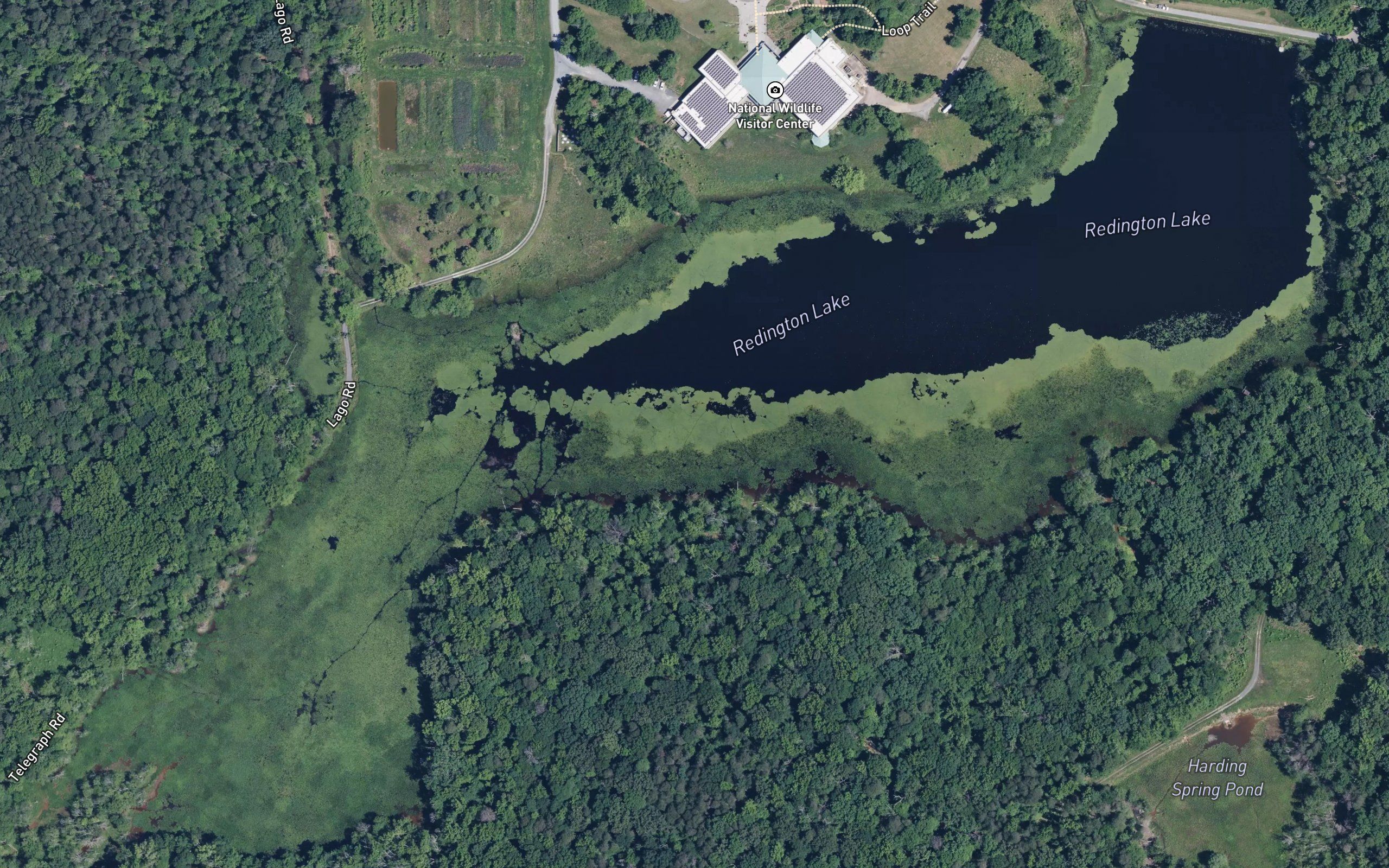 Redington Lake
