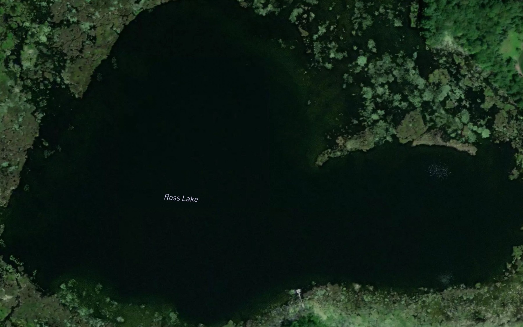 Satellite map of the Ross Lake