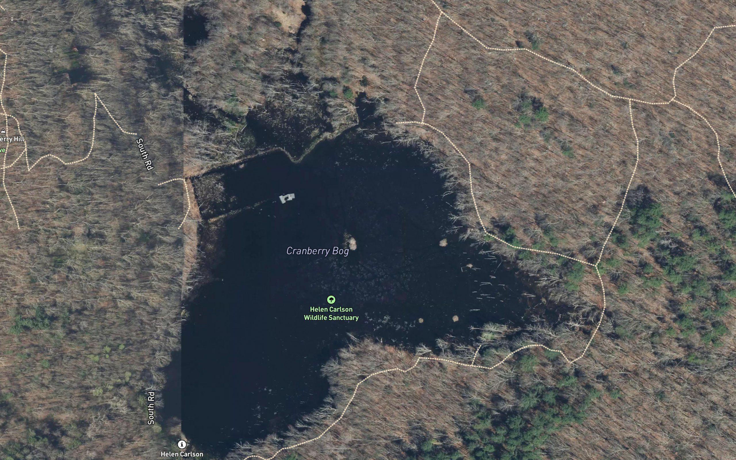 Cranberry Bog