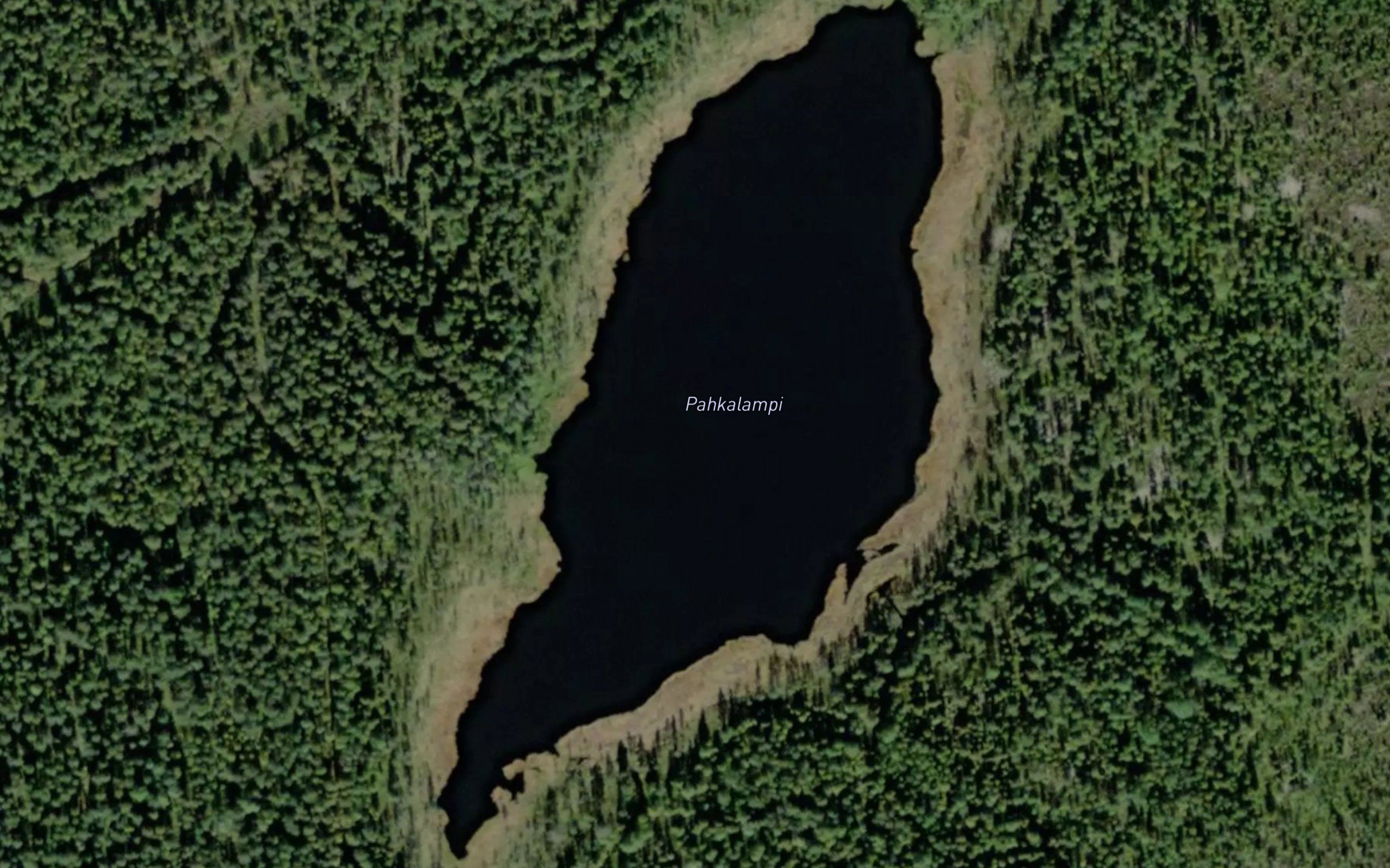 Pahkalampi