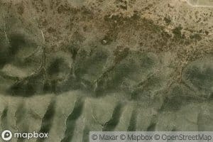 Canada Rosas Amarillas