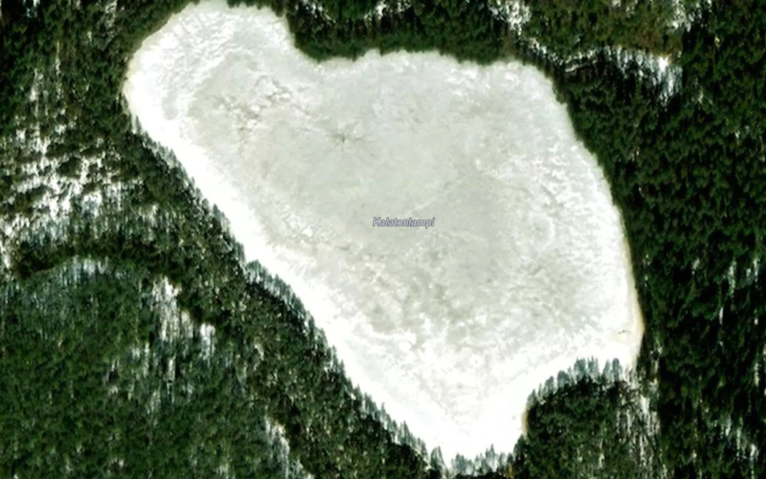 Kalatonlampi