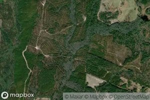 Middle Prong Cypress Creek