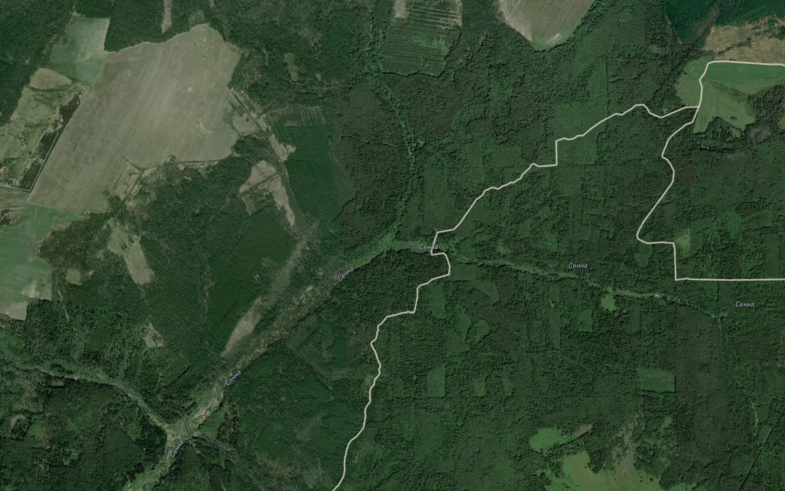Sviridovka