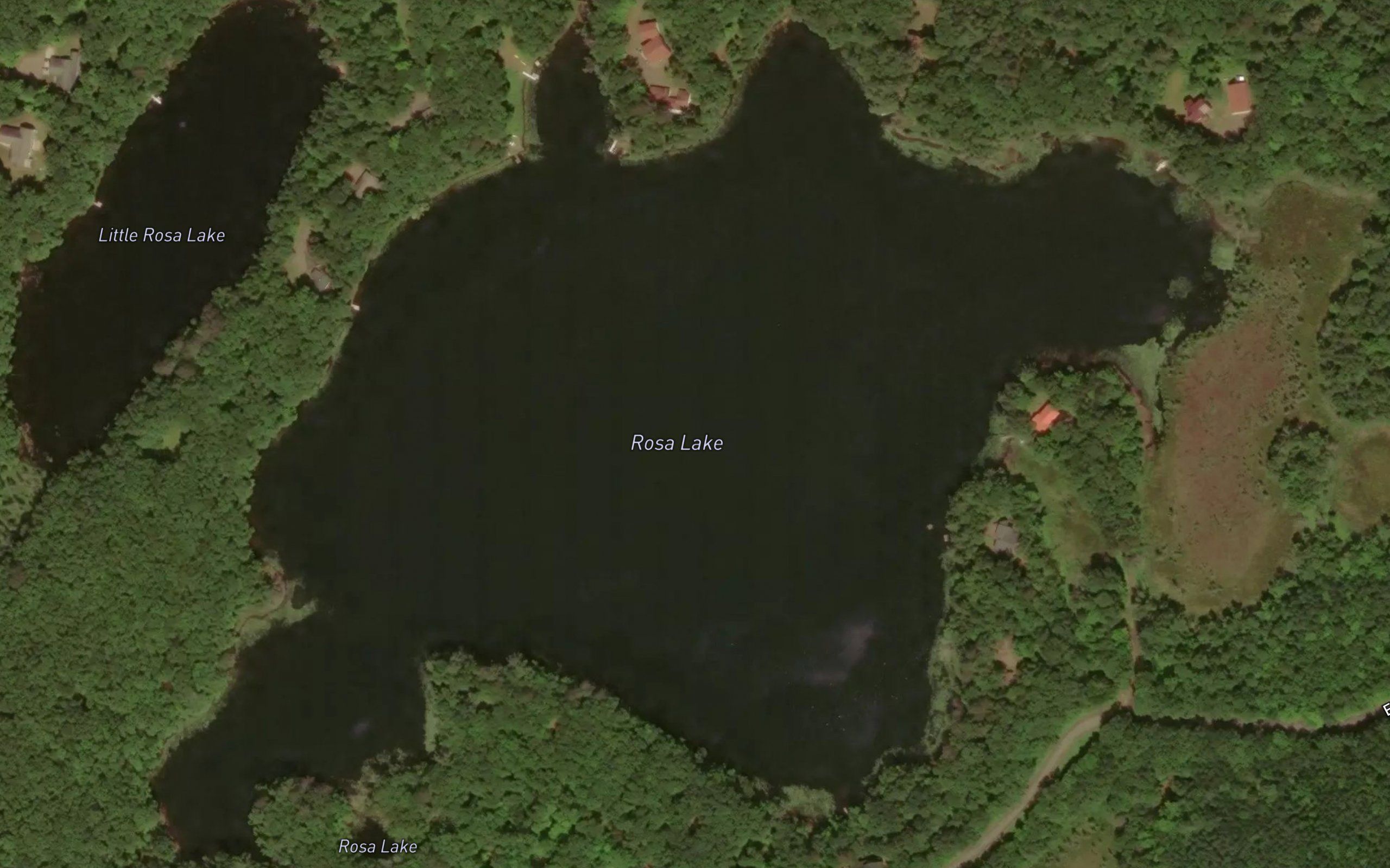 Rosa Lake